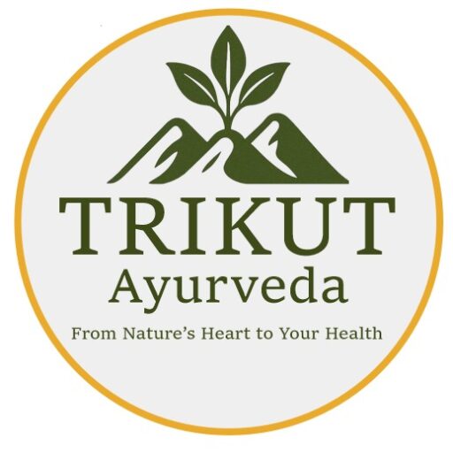 cropped whatsapp image 2025 12 11 at 22.53.43.jpeg